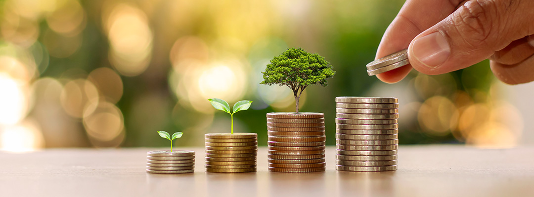 Earn a fixed rate with Fixed deposit account