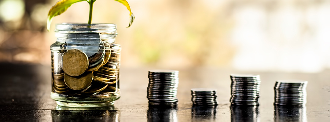 Earn a fixed rate of interest